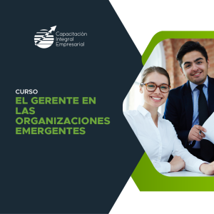 El gerente en las organizaciones emergentes