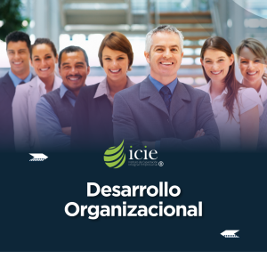 Curso-de-Desarrollo-Organizacional
