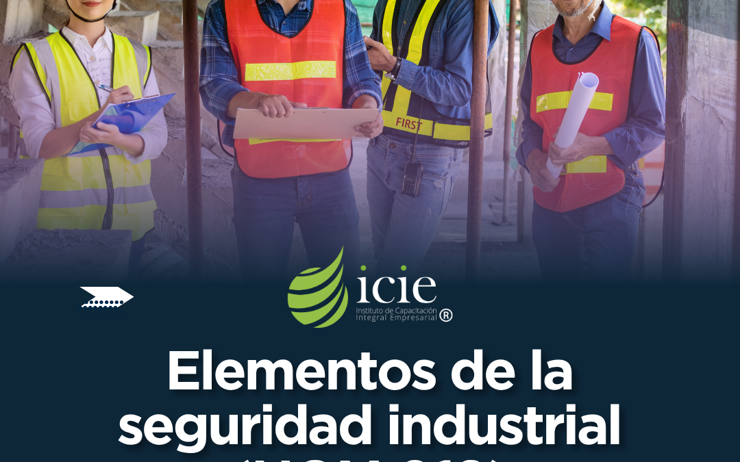 Elementos de la Seguridad Industrial (NOM-019)