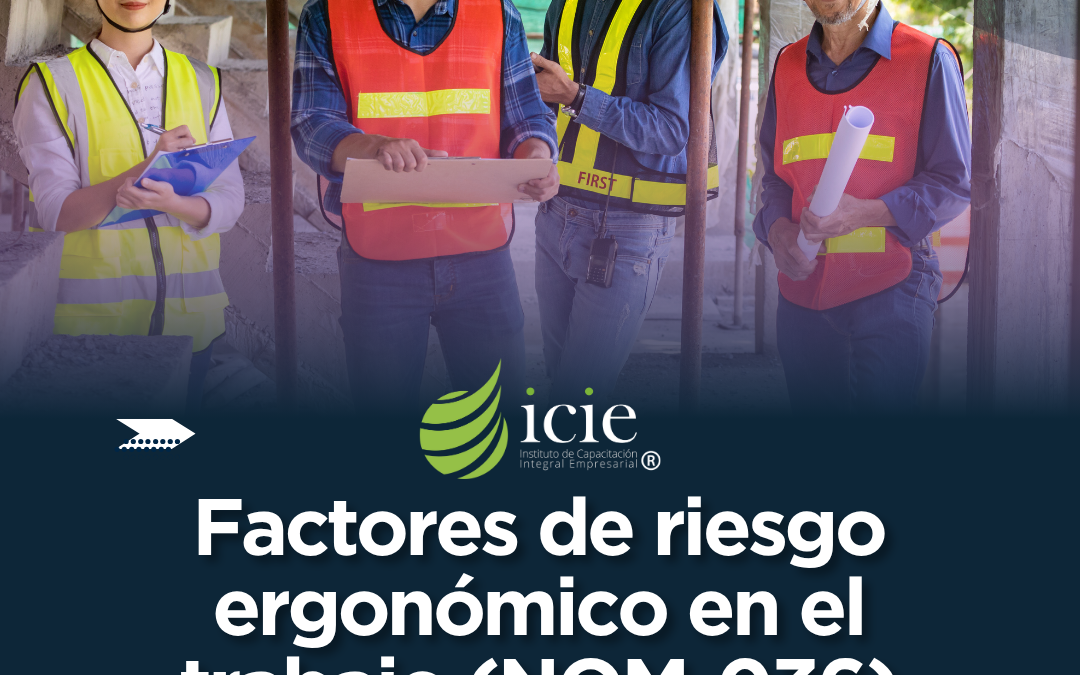 Factores de Riesgo Ergonómico en el Trabajo (NOM-036)