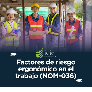 Curso-de-Factores-de-riesgo-ergonomico-en-el-trabajo-NOM-036
