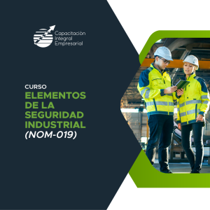Elementos de la Seguridad Industrial (NOM-019)