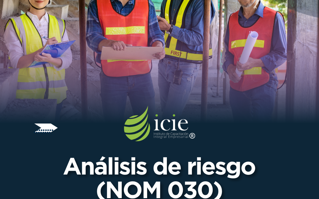 Análisis de Riesgo (NOM 030)