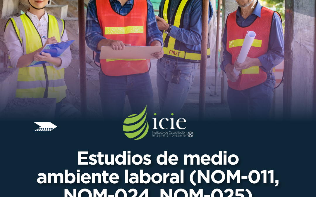 Estudios de medio ambiente laboral (NOM-011, NOM-024, NOM-025)