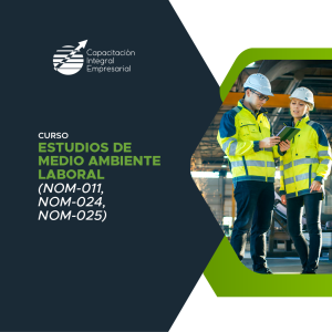 Estudios de medio ambiente laboral (NOM-011, NOM-024, NOM-025)