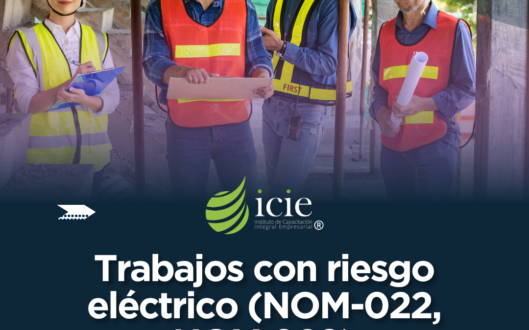 Trabajos con Riesgo Eléctrico (NOM-022, NOM 029)