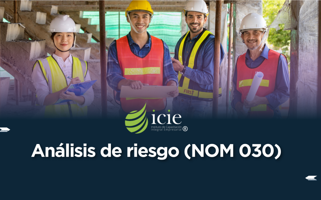 Análisis de Riesgo (NOM 030)