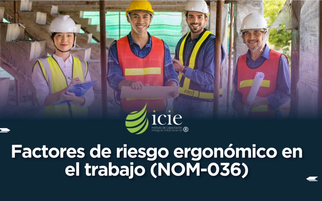 Factores de Riesgo Ergonómico en el Trabajo (NOM-036)