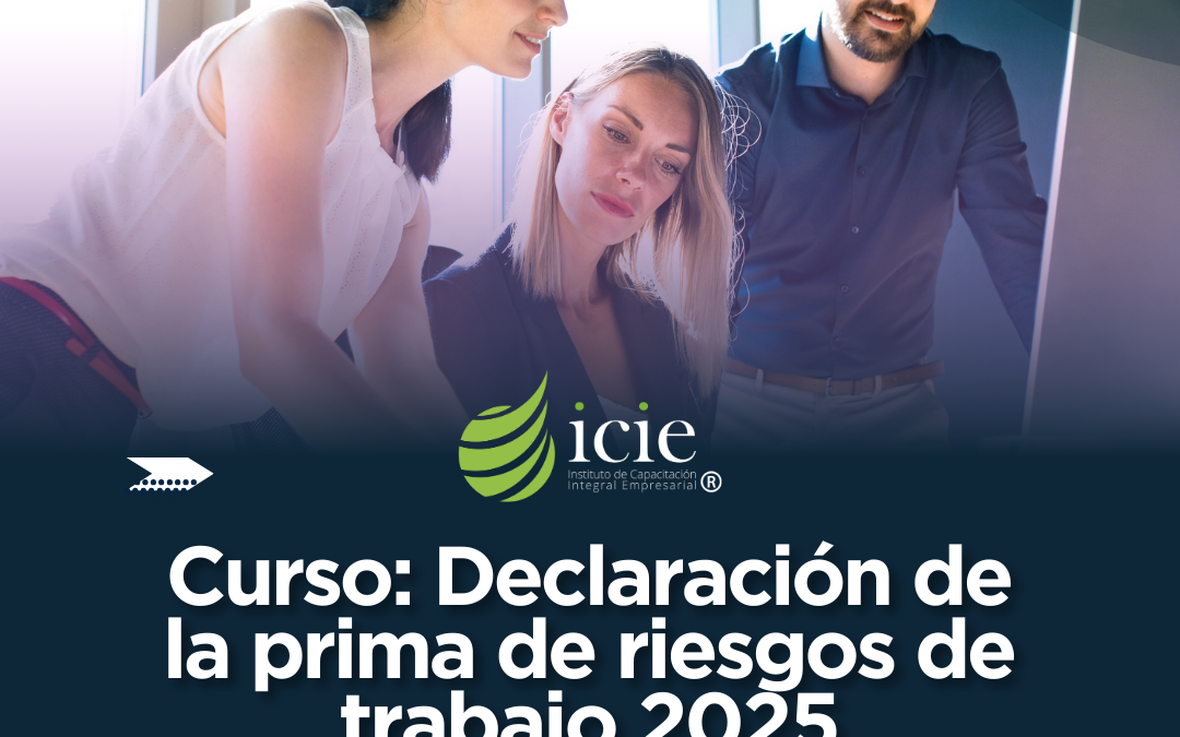 Declaración de la Prima de Riesgos de Trabajo 2025