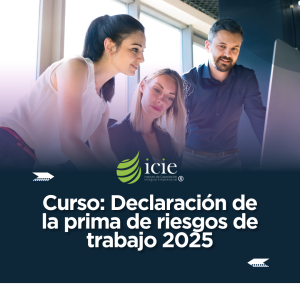 Declaración de la prima de riesgos de trabajo 2025
