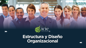 Curso-Estructura-y-Diseno-Organizacional.