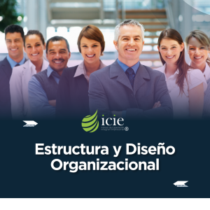 Curso-de-Estructura-y-Diseno-Organizacional