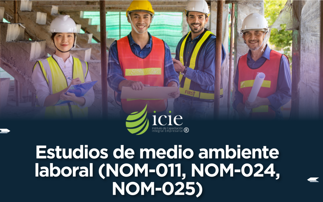 Estudios de medio ambiente laboral (NOM-011, NOM-024, NOM-025)
