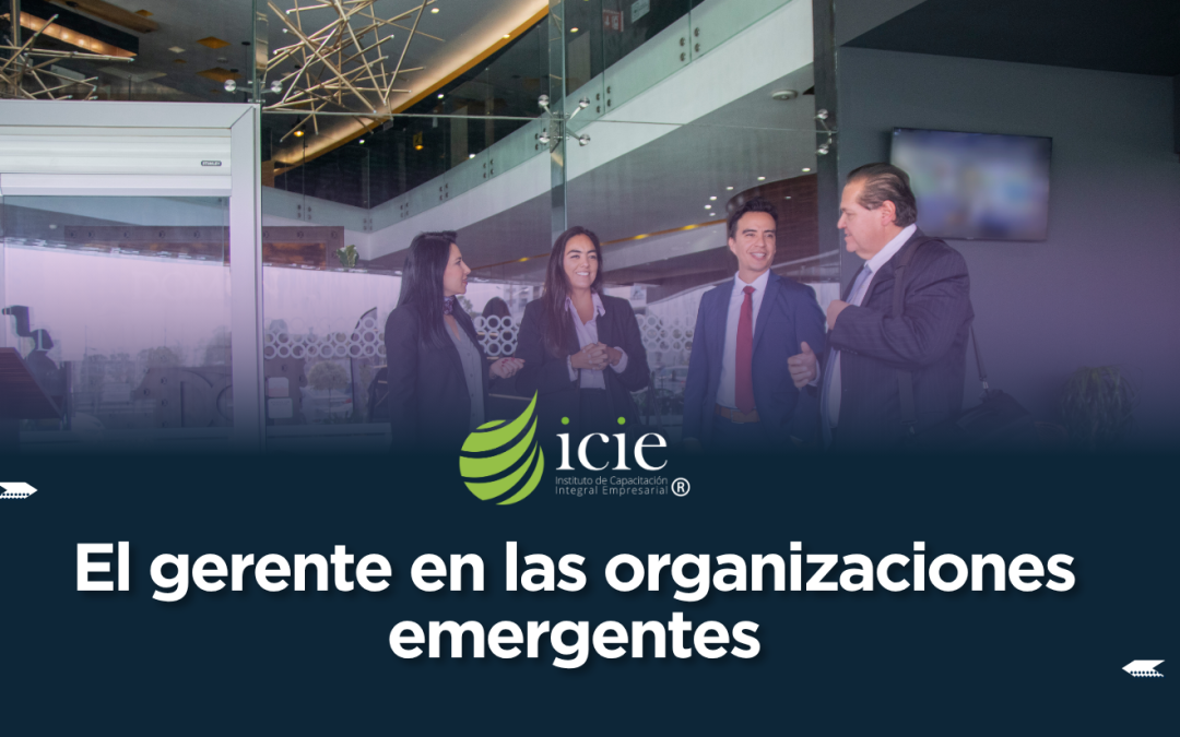 El gerente en las organizaciones emergentes